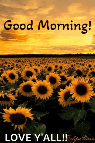 Bible Verse Good Morning Blessings Love You All GIF
