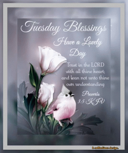 Bible Verse Good Morning Tuesday Blessings GIF