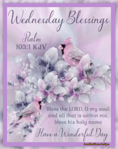 Bible Verse Good Morning Wednesday Blessings GIF