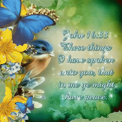 Bible Verse John Sixteen Thirty Three GIF
