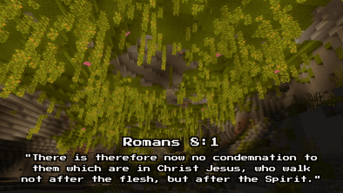 Bible Verse Romans 8