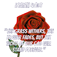 Bible Verse Scripture Sticker GIF