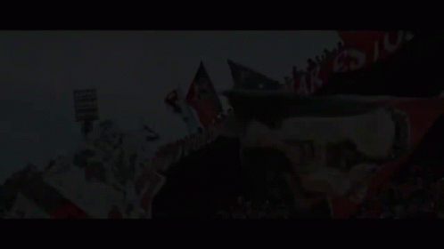 Bielsa Flag Waved By Fans GIF