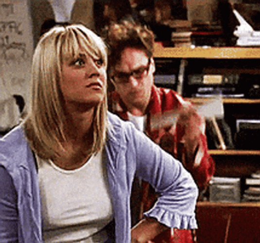 Big Bang Theory Sarcasm  GIF