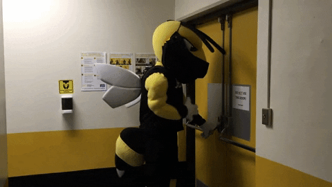 Big Bee Man Open The Noor Meme GIF