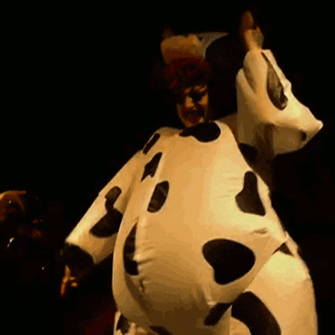 Big Belly Moo Body Suit GIF