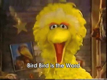 Big Bird Is The Word Sesame Street GIF