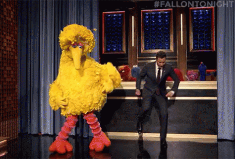 Big Bird Jimmy Fallon Shimmying GIF
