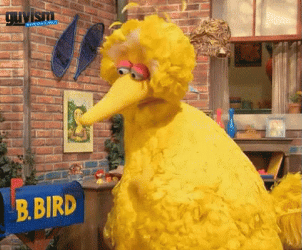 Big Bird GIF