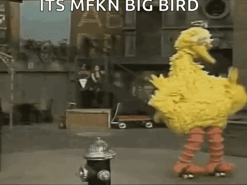 Big Bird from Sesame Street Riding Roller Skates