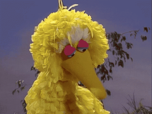Big Bird From Sesame Street Says " I 'M So Confused " In Front Of A Tree GIF
