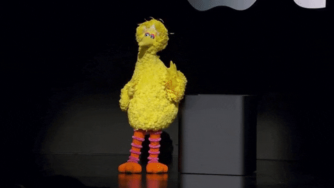 Big Bird Greeting Hi It's Me GIF
