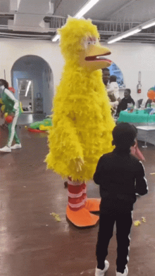 Big Bird Mascot Not Moving GIF