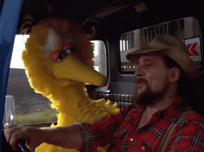 Big Bird GIF