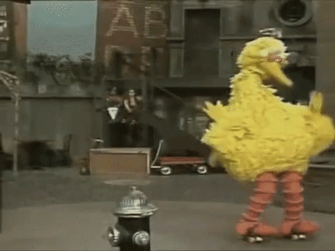 Big Bird Roller Skating On Street GIF
