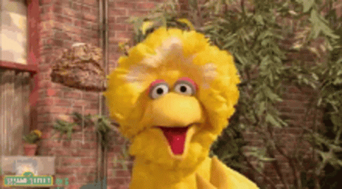 Big Bird Sesame Street Before Brick Wall