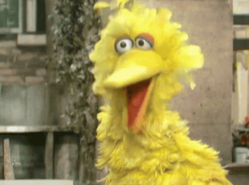 Big Bird Sesame Street Red Beak Big Eyes