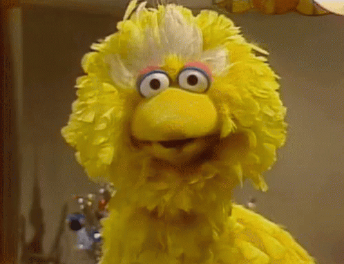 Big Bird Sesame Street Yellow Big Eyes Pink Nose