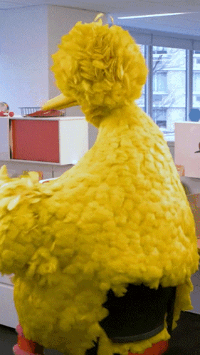 Big Bird Sitting on Desk