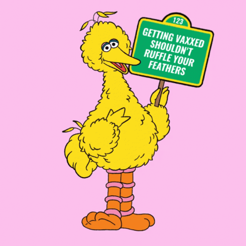Big Bird Waving A Signage GIF