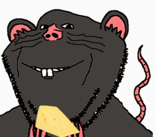 Big Black Rat Meme GIF