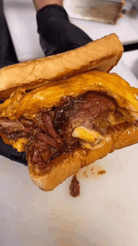 Big Brisket Sandwich GIF