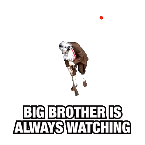Big Brother Is Watching
