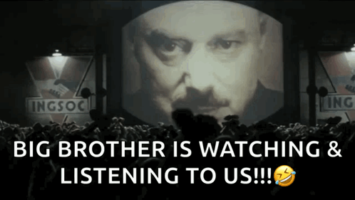 Big Brother Is Watching Again GIF