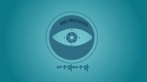 Big Brother Is Watching You Again GIF