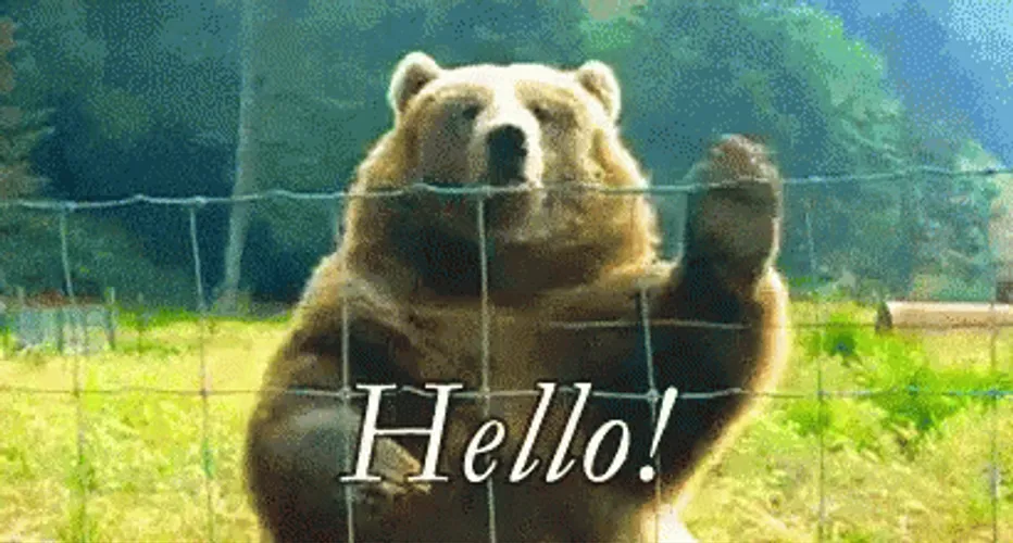 [Image: big-brown-bear-wave-hello-lyhi09uk3lydjxh2.webp]