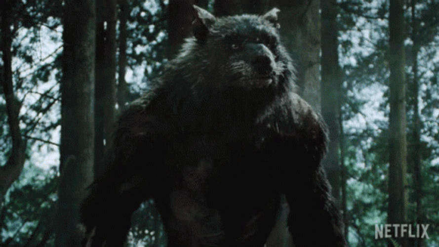 Big Bulky Werewolf The Order Series GIF