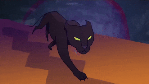 Big Cats Black Panther Running GIF