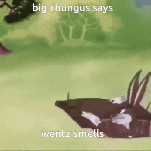 Big Chungus Says Wentz Smells