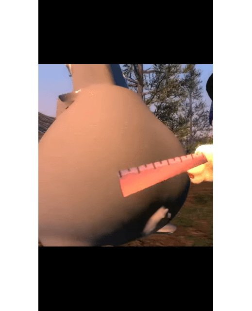 Big Chungus Thicc Ruler Measurement GIF