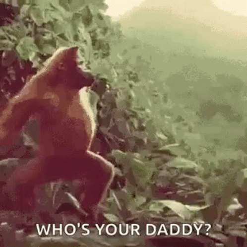 Big Daddy Dancing Monkey GIF