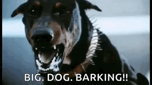 Big Dawg Barking GIF