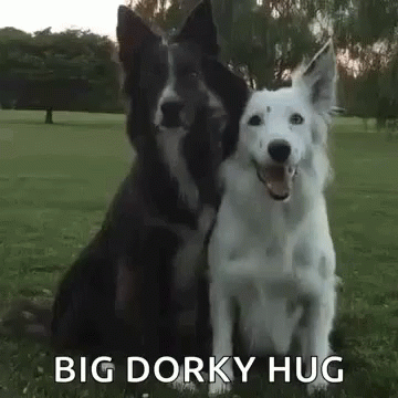 Big Dawg Dorky Hug GIF