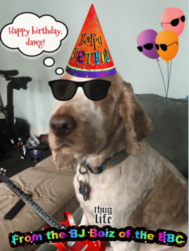 Big Dawg Happy Birthday GIF