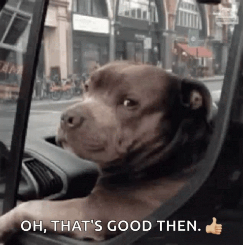 Big Dawg Oh That's Good GIF
