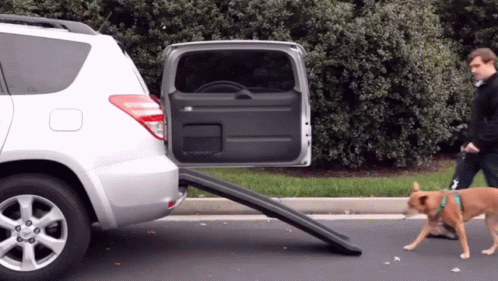 Big Dawg Ramp GIF