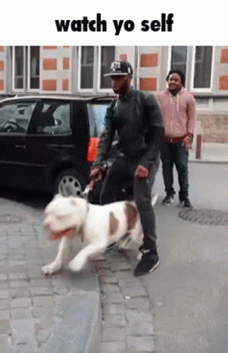 Big Dawg Watch You Self GIF