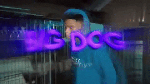 Big Dog Music Video Boy With Hoodie GIF