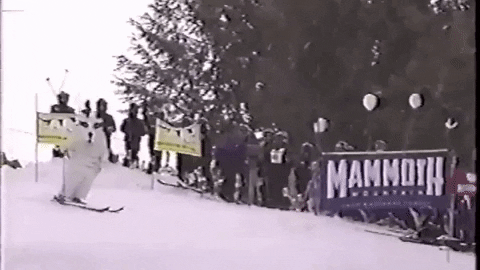Big Dog Skiing Down Snow Mountain GIF