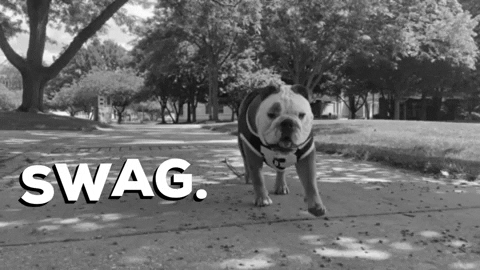 Big Dog Walking Swag GIF