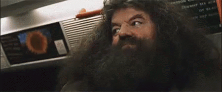 Big Eyes Rubeus Hagrid GIF