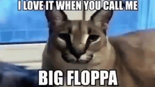 Big Floppa True Playa Video Clip GIF