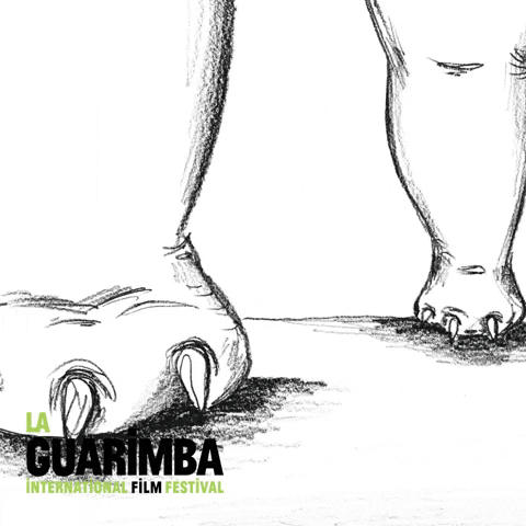 Big Foot 480 X 480 Gif GIF