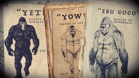 Big Foot Convincing Evidence GIF