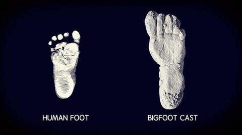 Big Foot Difference To Human Foot GIF