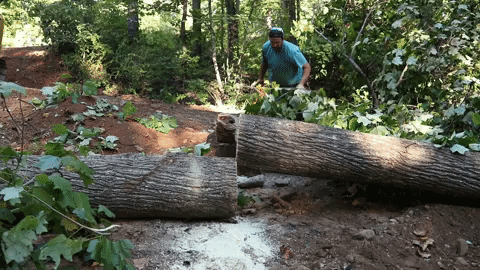 Big Man Done Saw Cutting The Wood GIF
